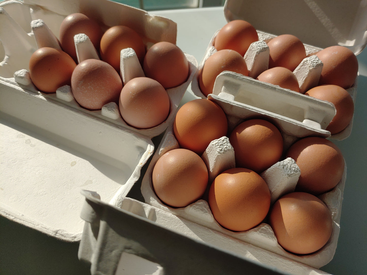 Pasture raised, organic eggs (6 egg carton)